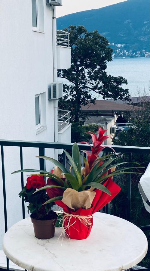 Solar Apartments Herceg Novi Dış mekan fotoğraf