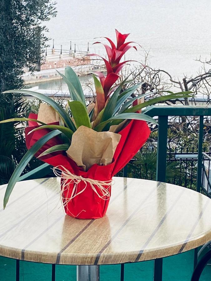 Solar Apartments Herceg Novi Dış mekan fotoğraf